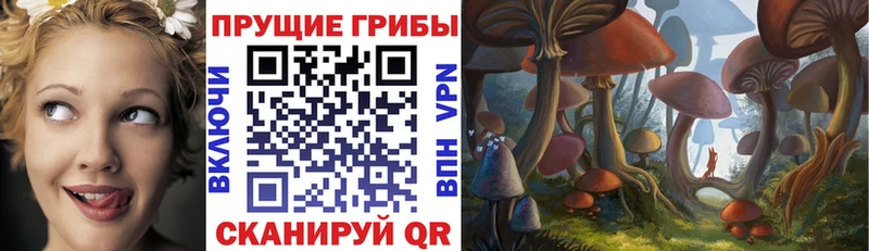 Галлюциногенные грибы Psilocybine cubensis  нарко площадка официальный сайт  Гдов 