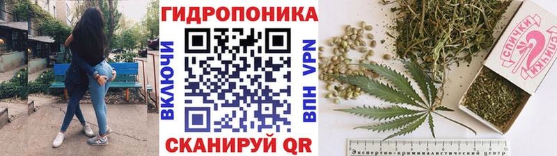 Канабис VHQ  Гдов 